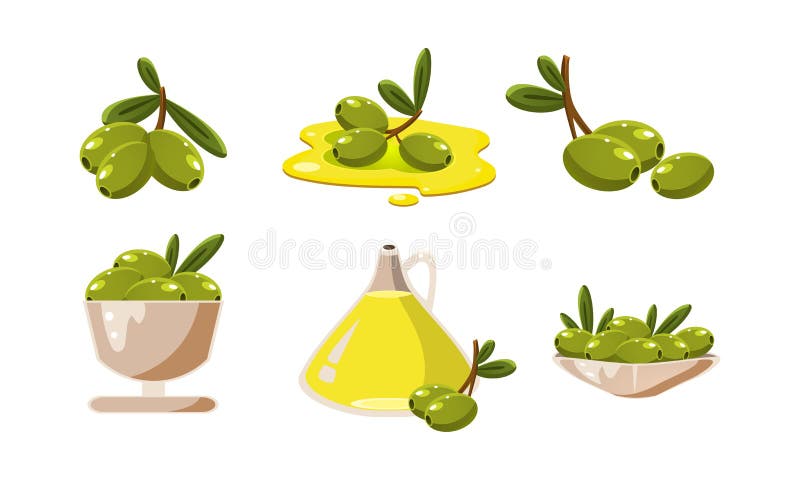 Świeże zielone oliwki i oleju set, zdrowego organicznie produktu wektorowa ilustracja na białym tle royalty ilustracja Świeże zielone oliwki i oleju set, zdrowego organicznie produktu wektorowa ilustracja na białym tle royalty ilustracja