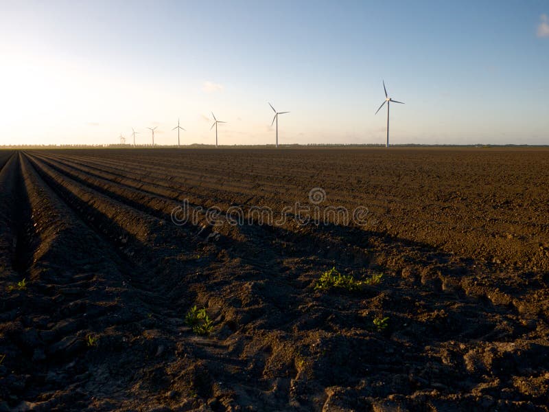 Świeżo przeorzący pole z silnikami wiatrowymi przy zmierzchem obraz stock Świeżo przeorzący pole z silnikami wiatrowymi przy zmierzchem obraz stock