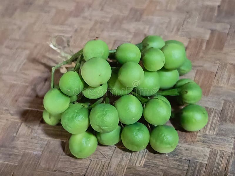 Świeżo zielona Turcja Jagody & Solanum torvumamp Cluster obraz stock