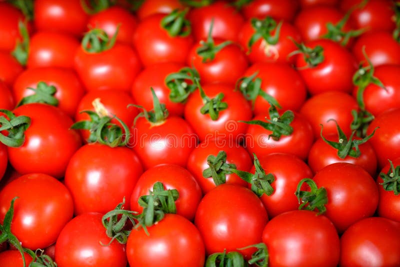 Świeży czerwony pomidorowy abstrakcjonistyczny owocowy kolorowy deseniowy tekstury tło głębokość pola płytki obrazy stock Świeży czerwony pomidorowy abstrakcjonistyczny owocowy kolorowy deseniowy tekstury tło głębokość pola płytki obrazy stock