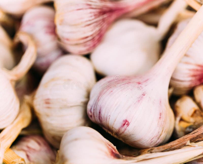 Świeży Organicznie Surowy czosnek Na Lokalnym Rolniczym warzywo rynku zdjęcie stock Świeży Organicznie Surowy czosnek Na Lokalnym Rolniczym warzywo rynku zdjęcie stock