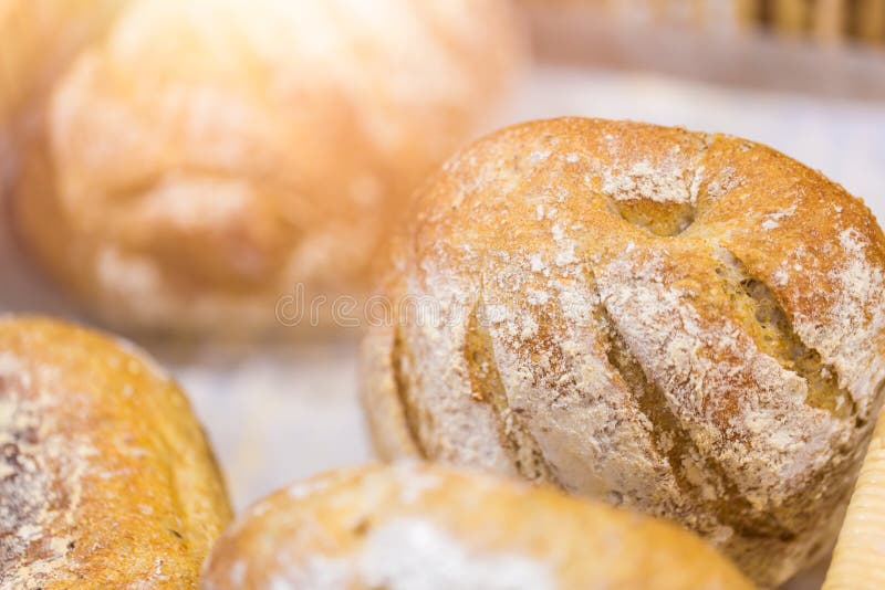 Świeży piec chleb w piekarni spojrzenia smakowitym dobrym nabiale obraz stock Świeży piec chleb w piekarni spojrzenia smakowitym dobrym nabiale obraz stock