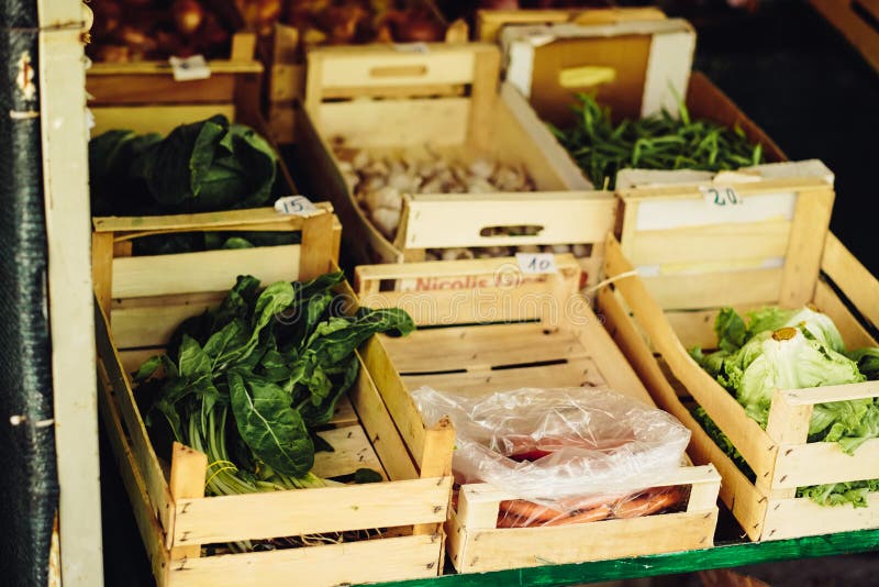 Świeży warzywo na rolnym rynku Naturalni lokalni produkty na uprawiają ziemię rynek zebrać Sezonowi produkty Jedzenie Warzywa