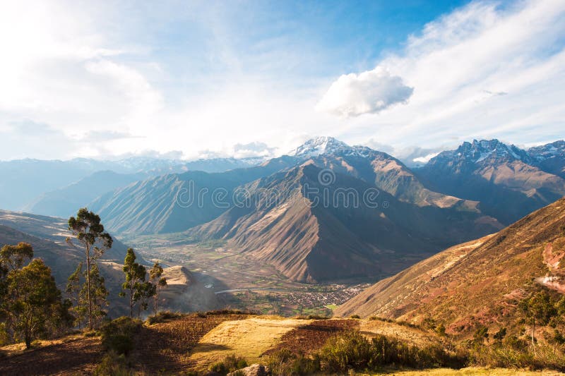 Święta dolina zbierał pszenicznego pole w Urubamba dolinie w Peru