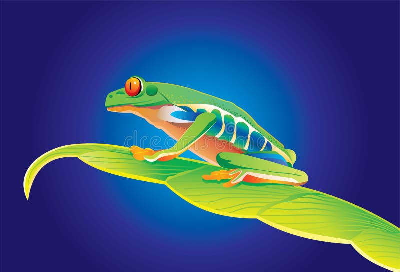 Vector scene of the frog on turn blue background. Vector scene of the frog on turn blue background