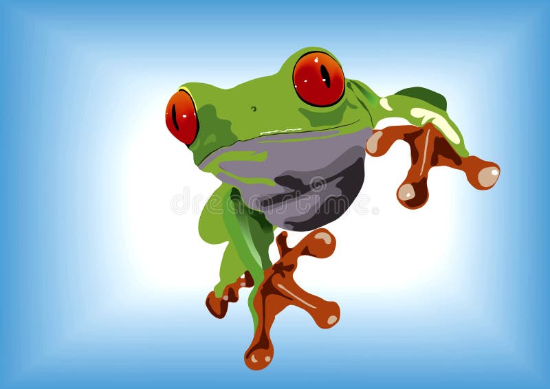 The green frog with rad-orange eyes. The green frog with rad-orange eyes.