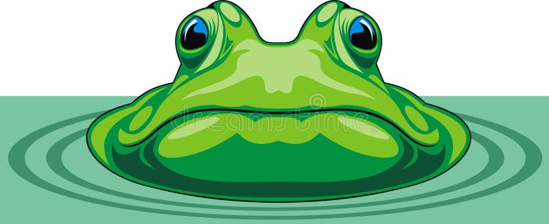 Nice green frog on the white background. Nice green frog on the white background