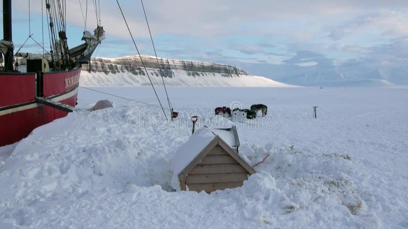 Żaglówki żeglowania statku Noorderlicht basecamp w Arktycznym