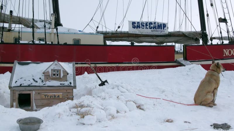 Żaglówki żeglowania statku Noorderlicht basecamp w Arktycznym