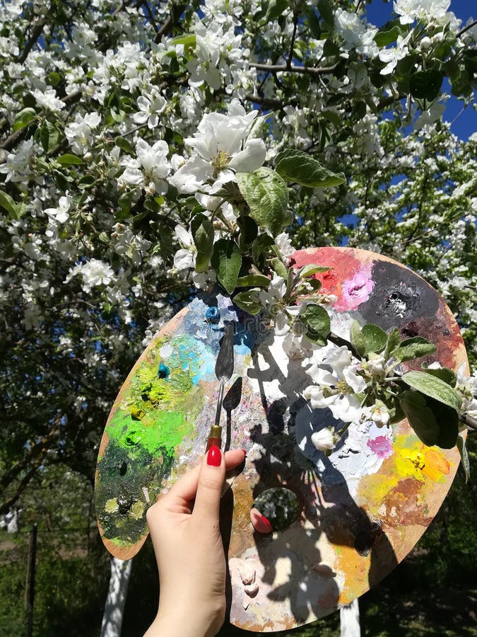 Żeńska ręka z paleta nożem i paletą dla farb przeciw tłu kwitnąć jabłonie fotografia stock Żeńska ręka z paleta nożem i paletą dla farb przeciw tłu kwitnąć jabłonie fotografia stock
