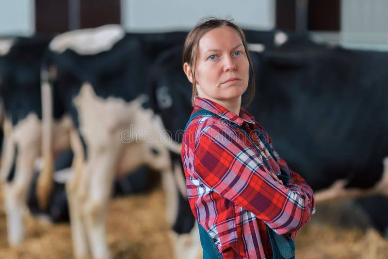 Żeński rolnik w krowie zrzucającej na nabiału bydlęcia gospodarstwie rolnym zdjęcia stock Żeński rolnik w krowie zrzucającej na nabiału bydlęcia gospodarstwie rolnym zdjęcia stock