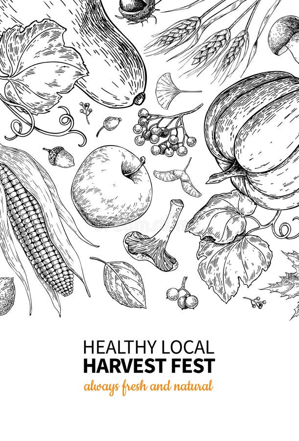 Harvest festival. Hand drawn vintage vector frame illustration with vegetables, fruits, leaves. Farm Market poster. Vegetarian set of organic products. Detailed food drawing. Great for menu, banner, label, logo, flyer, poster. Harvest festival. Hand drawn vintage vector frame illustration with vegetables, fruits, leaves. Farm Market poster. Vegetarian set of organic products. Detailed food drawing. Great for menu, banner, label, logo, flyer, poster.