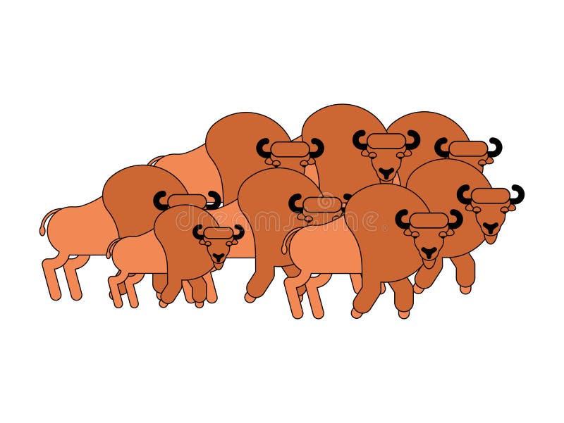 Bison herd. Aurochs flock. Wild Bull. Buffalo Vector illustration. Bison herd. Aurochs flock. Wild Bull. Buffalo Vector illustration.