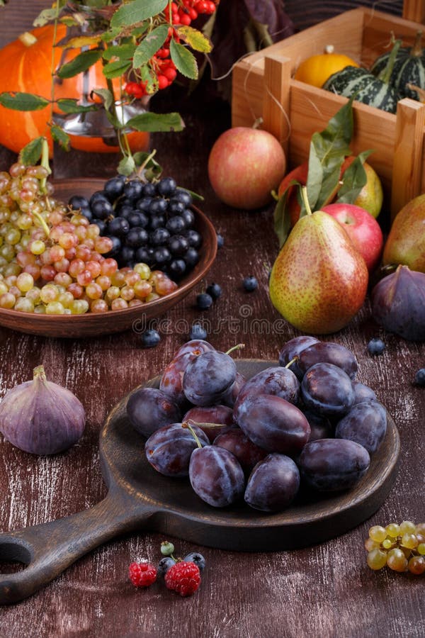 Życie od jesieni owoc na ciemnym tle Winogrona, melon, śliwki, bonkrety, jabłka, figi, bania obrazy royalty free Życie od jesieni owoc na ciemnym tle Winogrona, melon, śliwki, bonkrety, jabłka, figi, bania obrazy royalty free