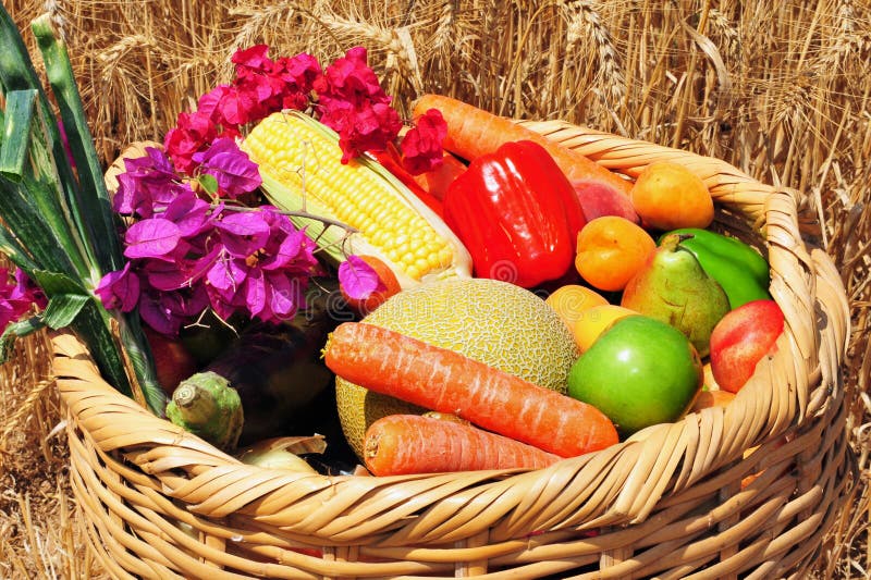 żydowski wakacje shavuot zdjęcie stock żydowski wakacje shavuot zdjęcie stock