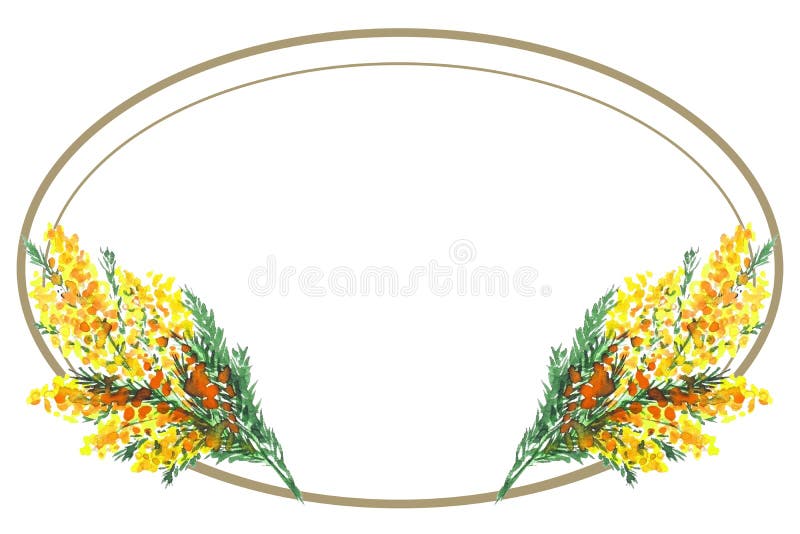 șablon card de întâmpinare cu ramuri de mimoză a acusticii și un cadru sub forma a două ovale de aur. elemente de raster izolate. stock illustration
