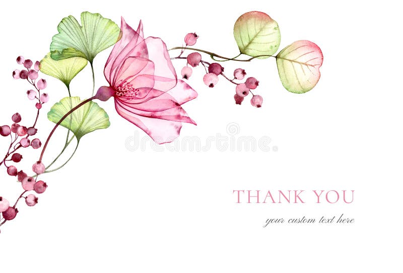 șablon card roz transparent acucolor. vă mulțumesc pentru text. flori de eucalipt și bace izolate pe alb stock illustration