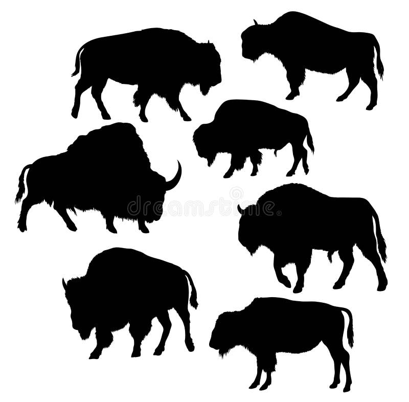 Άγριες σκιαγραφίες του Bull βισώνων ελεύθερη απεικόνιση δικαιώματος Άγριες σκιαγραφίες του Bull βισώνων ελεύθερη απεικόνιση δικαιώματος