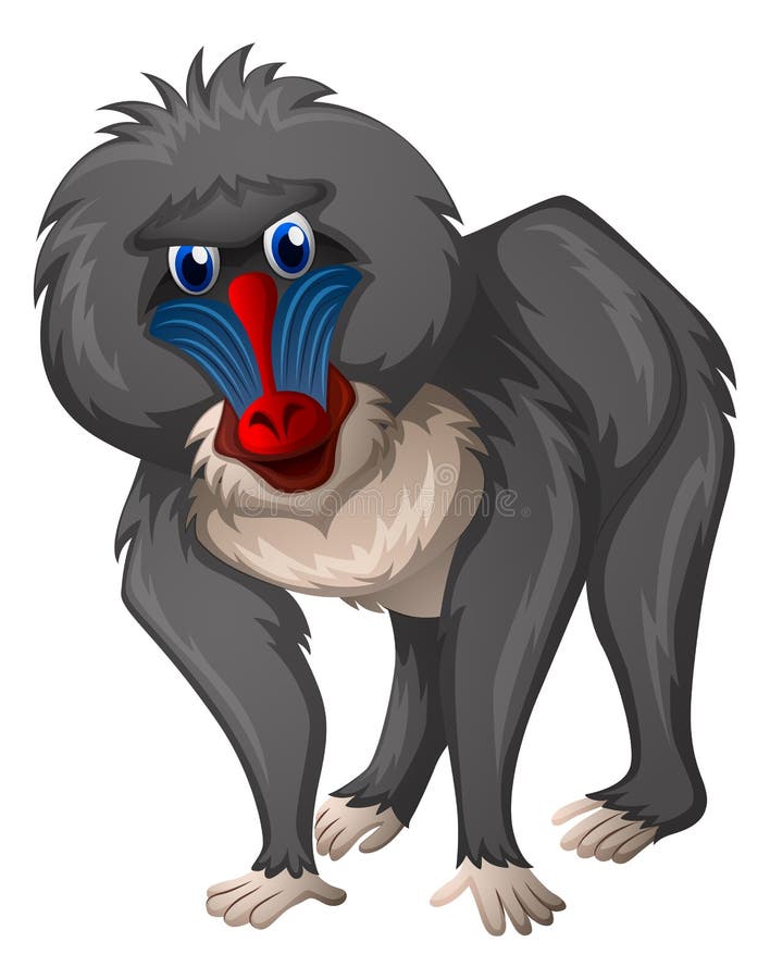 Άγριο baboon στο άσπρο υπόβαθρο διανυσματική απεικόνιση Άγριο baboon στο άσπρο υπόβαθρο διανυσματική απεικόνιση