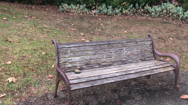 άδειο ξύλινο πάρκο στο πάρκο στο auckland απόθεμα βίντεο