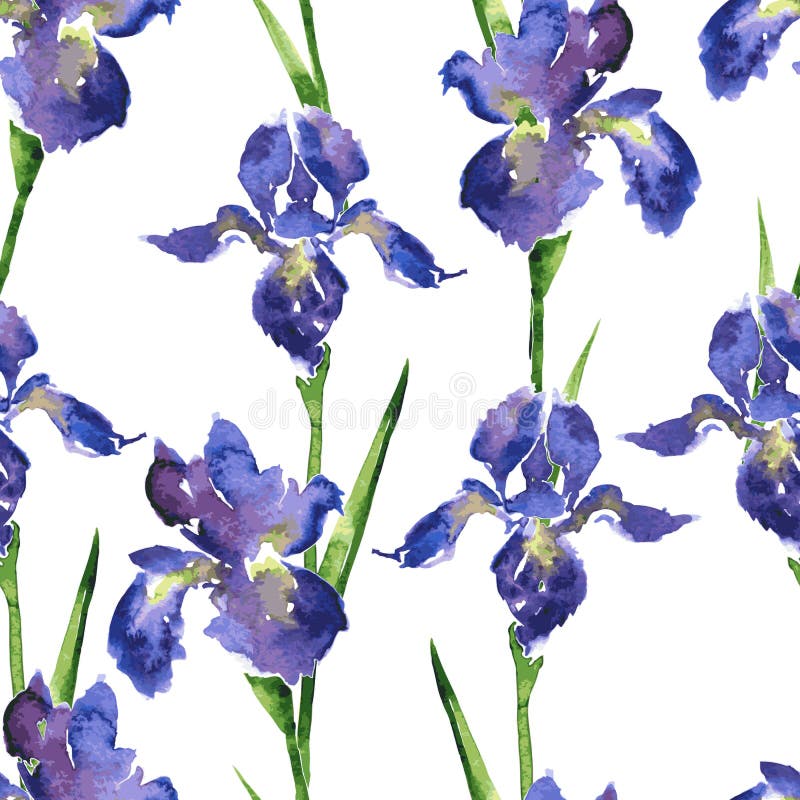 Άνευ ραφής floral σχέδιο Watercolor διανυσματική απεικόνιση Άνευ ραφής floral σχέδιο Watercolor διανυσματική απεικόνιση