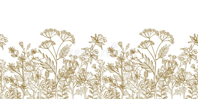 Άνευ ραφής διανυσματικά floral σύνορα με τα μαύρα άσπρα συρμένα χέρι χορτάρια και τα άγρια λουλούδια απεικόνιση αποθεμάτων