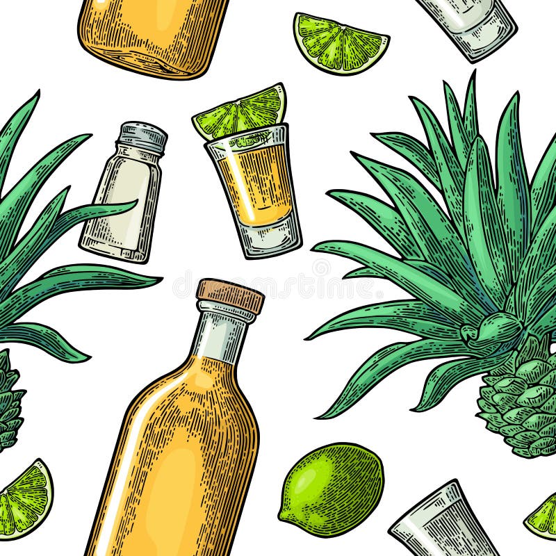 Άνευ ραφής σχέδιο του μπουκαλιού, του tequila γυαλιού, του άλατος, του κάκτου και του ασβέστη διανυσματική απεικόνιση Άνευ ραφής σχέδιο του μπουκαλιού, του tequila γυαλιού, του άλατος, του κάκτου και του ασβέστη διανυσματική απεικόνιση