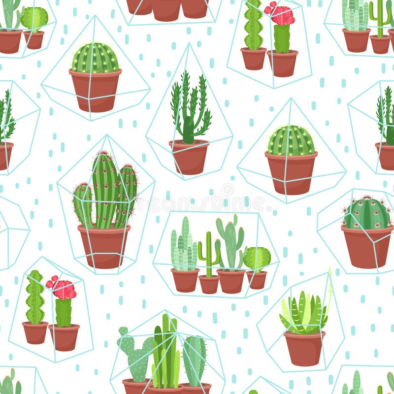 Άνευ ραφής υπόβαθρο Succulents Κάκτοι και succulents στο γεωμετρικό florariume terrariums Άνευ ραφής γεωμετρικός σύγχρονος ελεύθερη απεικόνιση δικαιώματος