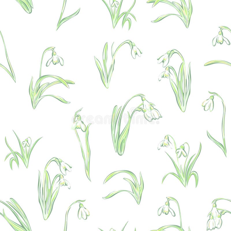 Seamless pattern flowers snowdrop, flowering plants to bloom on white background. Spring time. Seamless pattern flowers snowdrop, flowering plants to bloom on white background. Spring time