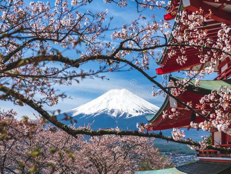 Άνθος κερασιών Sakura βουνών της Ιαπωνίας Φούτζι με το κόκκινο ορόσημο Τόκιο παγοδών στοκ εικόνες