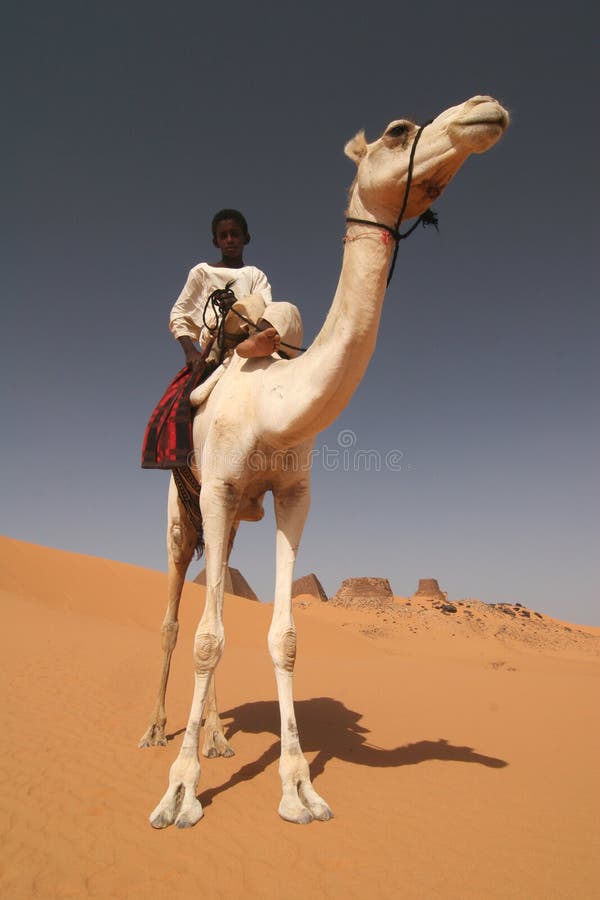 People of Africa. Sudanese young boy sitting on a back of his camela. Republic of Sudan. People of Africa. Sudanese young boy sitting on a back of his camela. Republic of Sudan