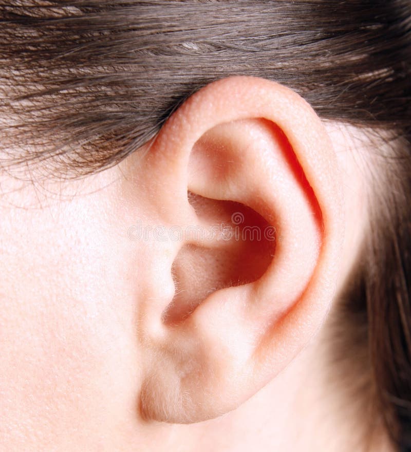 Closeup of a human ear. Closeup of a human ear