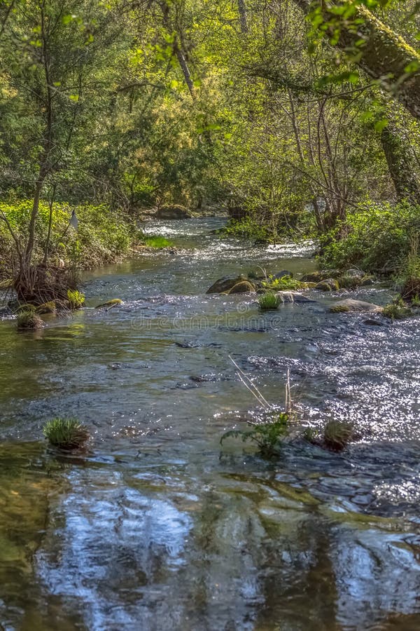 Άποψη του ποταμού DÃo, με τα δέντρα, τους βράχους και τη βλάστηση στις τράπεζες, τις αντανακλάσεις στο νερό και τα φωτεινά χρώμα στοκ φωτογραφίες Άποψη του ποταμού DÃo, με τα δέντρα, τους βράχους και τη βλάστηση στις τράπεζες, τις αντανακλάσεις στο νερό και τα φωτεινά χρώμα στοκ φωτογραφίες