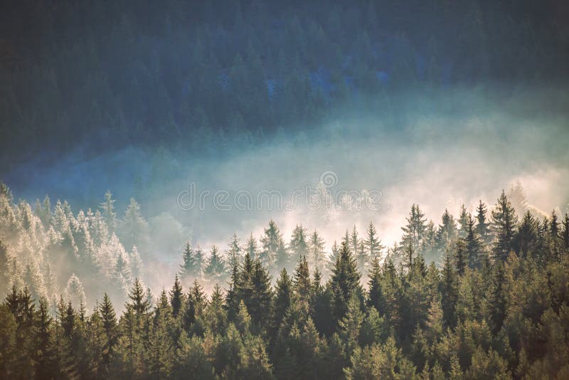 Άποψη των misty βουνών ομίχλης το φθινόπωρο στοκ φωτογραφία