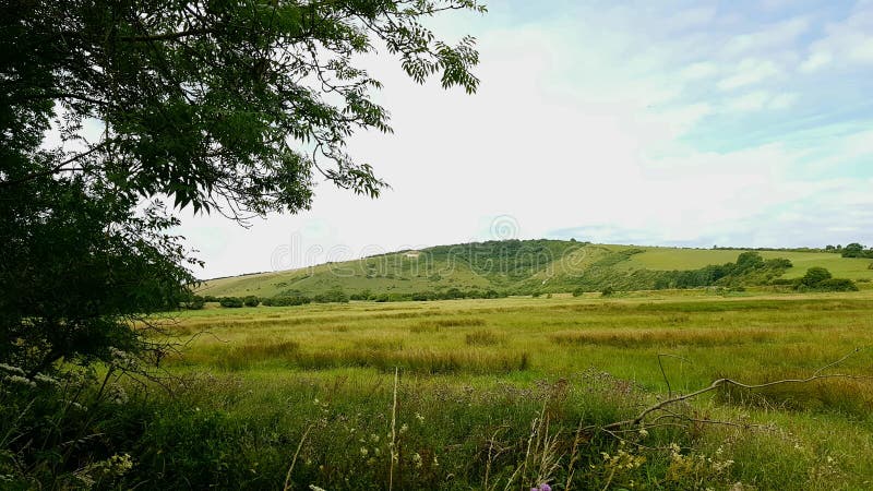 Άσπρο άλογο του χωριού Litlington the Cuckmere στο ανατολικό Σάσσεξ κοιλάδων inÂ, Αγγλία,  στοκ φωτογραφίες με δικαίωμα ελεύθερης χρήσης Άσπρο άλογο του χωριού Litlington the Cuckmere στο ανατολικό Σάσσεξ κοιλάδων inÂ, Αγγλία,  στοκ φωτογραφίες με δικαίωμα ελεύθερης χρήσης