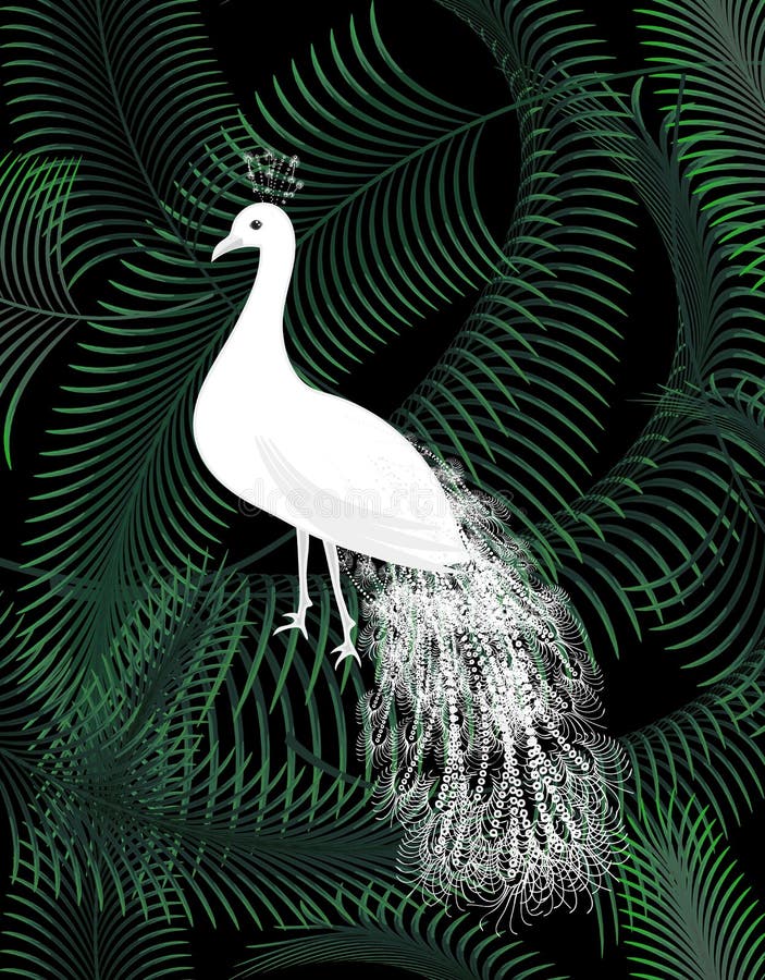 Άσπρο πουλί peacock στην αφίσα υποβάθρου φύλλων φοινικών ζουγκλών διανυσματική απεικόνιση