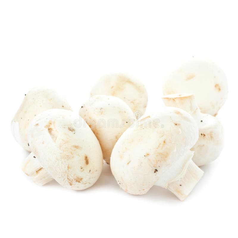 Άσπρο φρέσκο ακατέργαστο champignon μανιτάρι στο άσπρο υπόβαθρο στοκ φωτογραφία με δικαίωμα ελεύθερης χρήσης Άσπρο φρέσκο ακατέργαστο champignon μανιτάρι στο άσπρο υπόβαθρο στοκ φωτογραφία με δικαίωμα ελεύθερης χρήσης