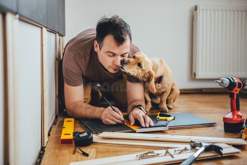 Άτομο και το σκυλί του που κάνουν την εργασία ανακαίνισης στο σπίτι