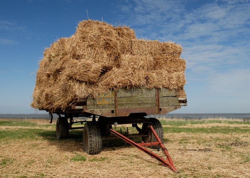 Farmer´s trailer on the meadow. Farmer´s trailer on the meadow.