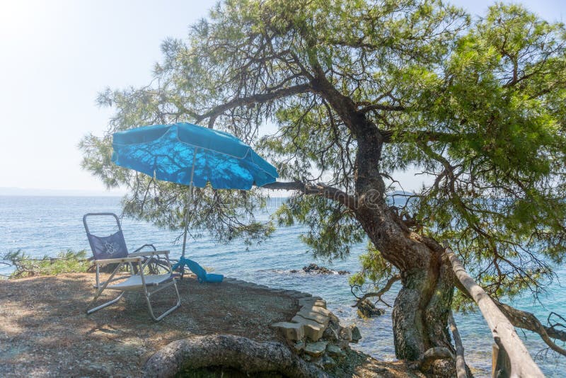 Έδρα και μπλε ομπρέλα στο βράχο με ένα δέντρο και θαλάσσιο νερό στο υπόβαθρο στοκ εικόνα με δικαίωμα ελεύθερης χρήσης Έδρα και μπλε ομπρέλα στο βράχο με ένα δέντρο και θαλάσσιο νερό στο υπόβαθρο στοκ εικόνα με δικαίωμα ελεύθερης χρήσης