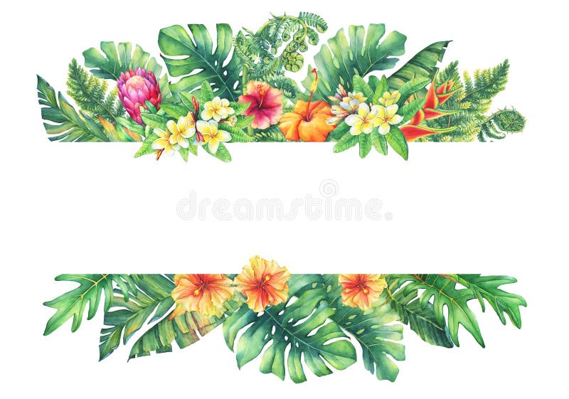 Έμβλημα με τα πορφυρά λουλούδια Protea κλάδων, το plumeria, hibiscus και τις τροπικές εγκαταστάσεις ελεύθερη απεικόνιση δικαιώματος