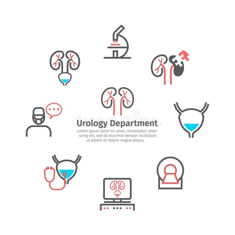 Έμβλημα σημαδιών νεφρών Urology τμήμα Εικονίδια γραμμών καθορισμένα Διανυσματικά σύμβολα για τον Ιστό γραφικό διανυσματική απεικόνιση Έμβλημα σημαδιών νεφρών Urology τμήμα Εικονίδια γραμμών καθορισμένα Διανυσματικά σύμβολα για τον Ιστό γραφικό διανυσματική απεικόνιση