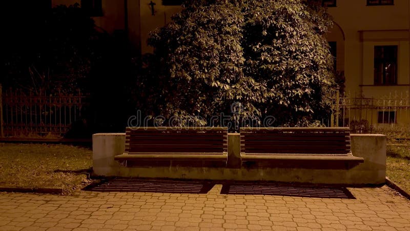 Ένα γαλήνιο παγκάκι νυχτερινού πάρκου φωλιασμένο μέσα σε αχνό πράσινο που προσφέρει ηρεμία εν μέσω φύσης στοκ εικόνες με δικαίωμα ελεύθερης χρήσης
