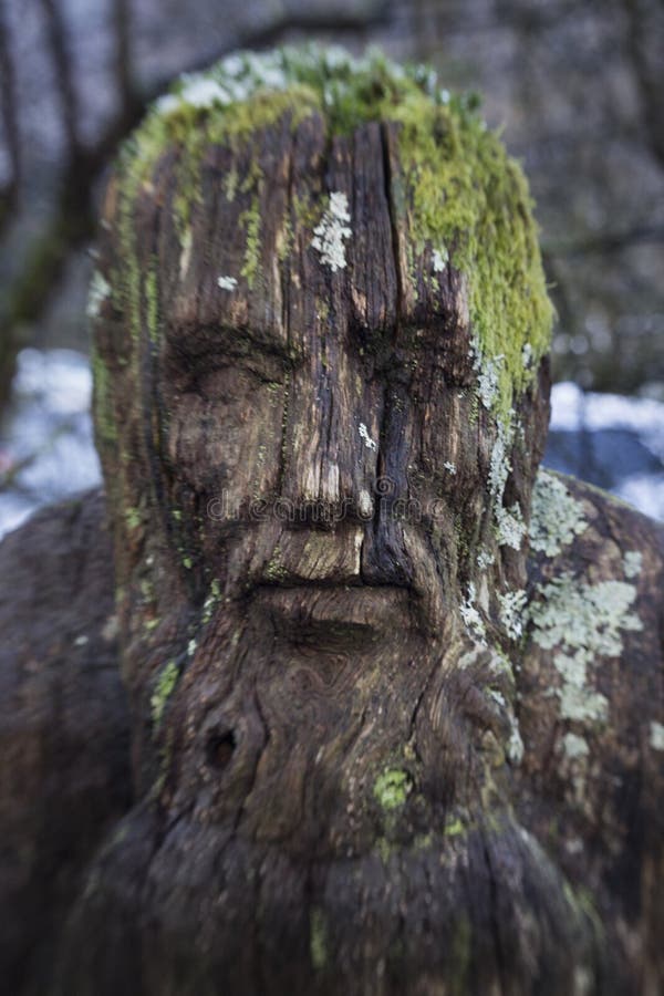 A wood sculpture of a mans face covered in moss and lichen hidden in the Argyle forest in Scotland. A wood sculpture of a mans face covered in moss and lichen hidden in the Argyle forest in Scotland.