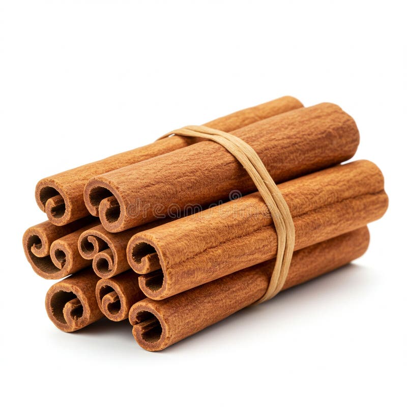 Ένα δέμα από μπακέτες κανέλας Cinnamomum verum δεμένο με λαστιχένια ταινία. Τα ραβδιά απεικόνιση αποθεμάτων