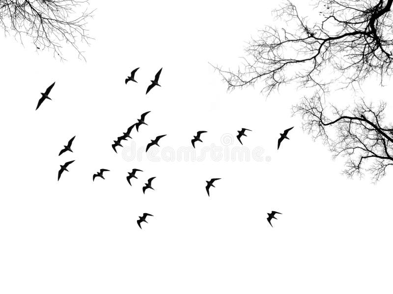 A bird flock between branches on white background. A bird flock between branches on white background