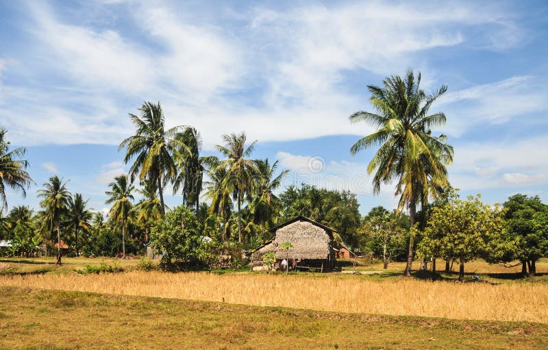 Ένα μικρό σπίτι με τα δέντρα καρύδων σε Kampot, Καμπότζη στοκ φωτογραφία Ένα μικρό σπίτι με τα δέντρα καρύδων σε Kampot, Καμπότζη στοκ φωτογραφία