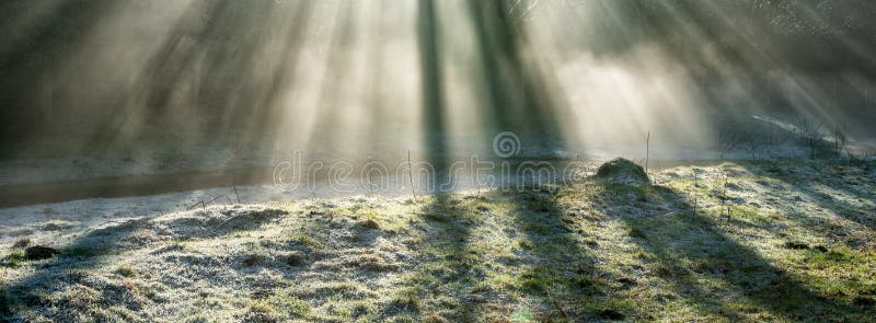 ένα παγωμένο πρωινό και ρέει με φως του ήλιου και ακτίνες που έλαμπαν μέσα από τα δέντρα που καλύφθηκαν το χειμώνα πρωί η αγγλία τ