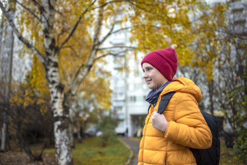 a smiling boy walks from home to study, past birch trees with orange foliage. a smiling boy walks from home to study, past birch trees with orange foliage.