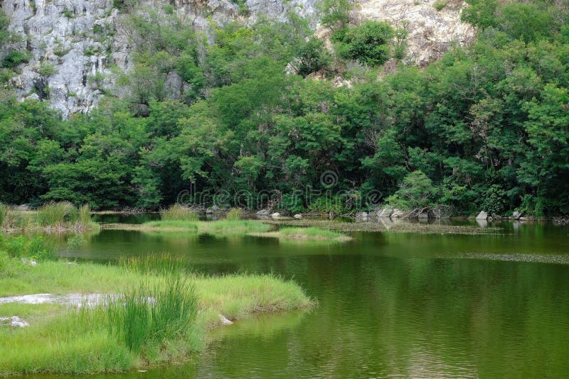 Ένα όμορφο τοπίο ενός βάλτου στοκ εικόνες